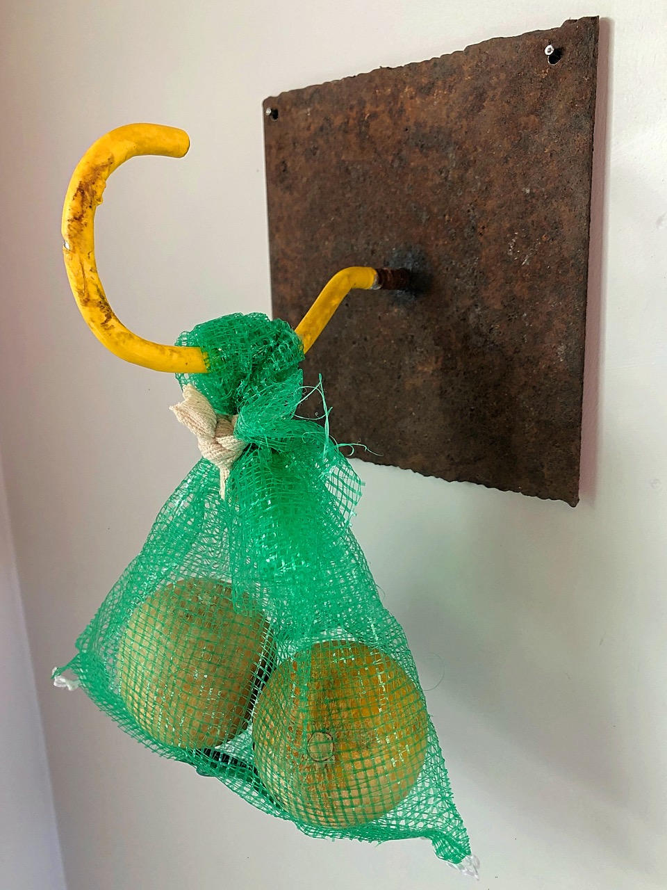 CLOSER, 2021 | Steel plate, utility hook, bag and gourds, 10” x 6” x 6” | 