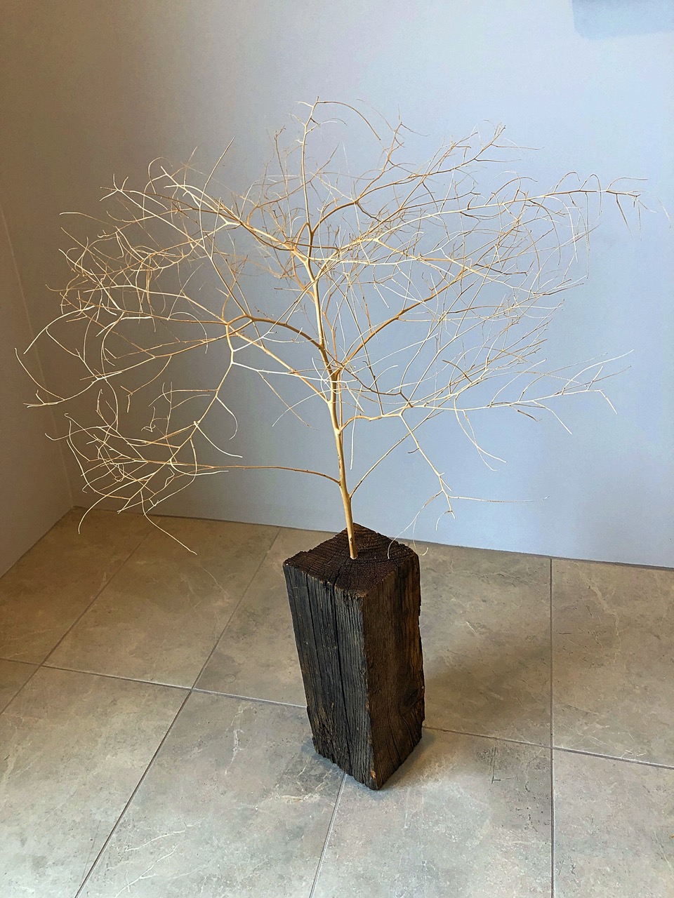 Bring the Wood, 2020 | Tumble weed and found wood block, 36” x 24” x 24" | 