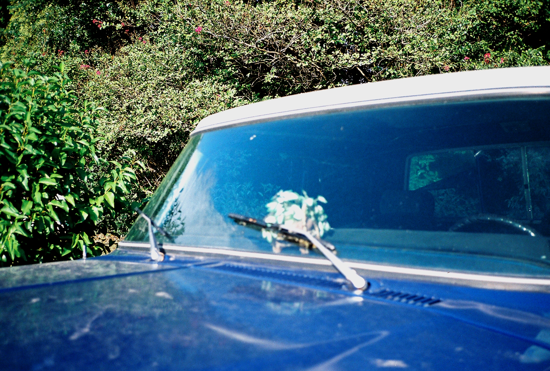 Blue Pick Up with Floral | Baton Rouge LA | 2007