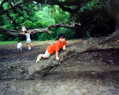 Boy in Tree | New Orleans LA | 1996